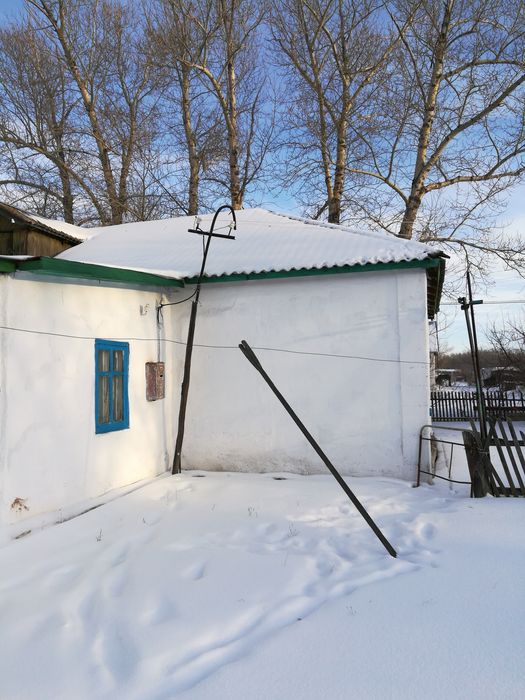 Большой дом для большой семьи - Więcej