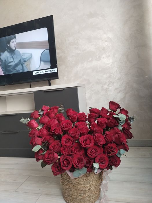 Голландская красный роза