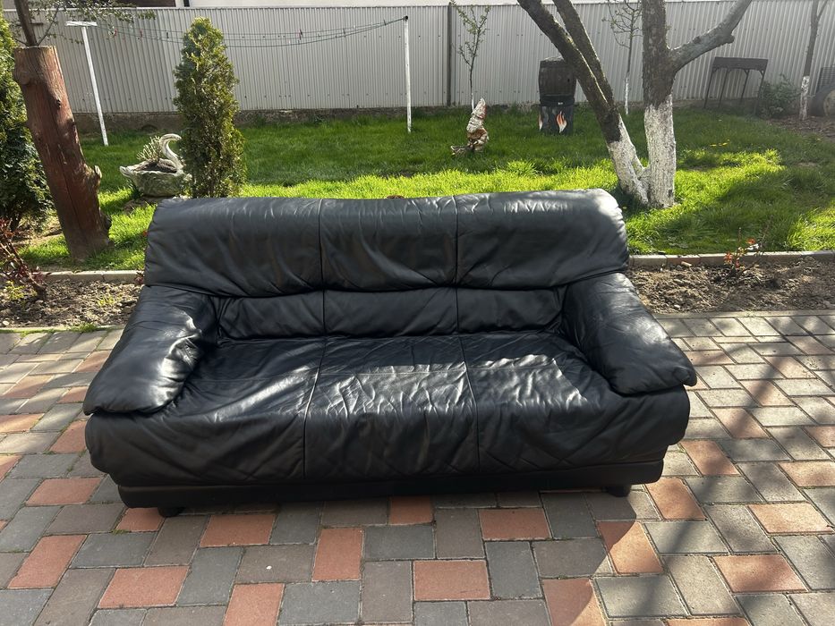 Canapea neagra din piele