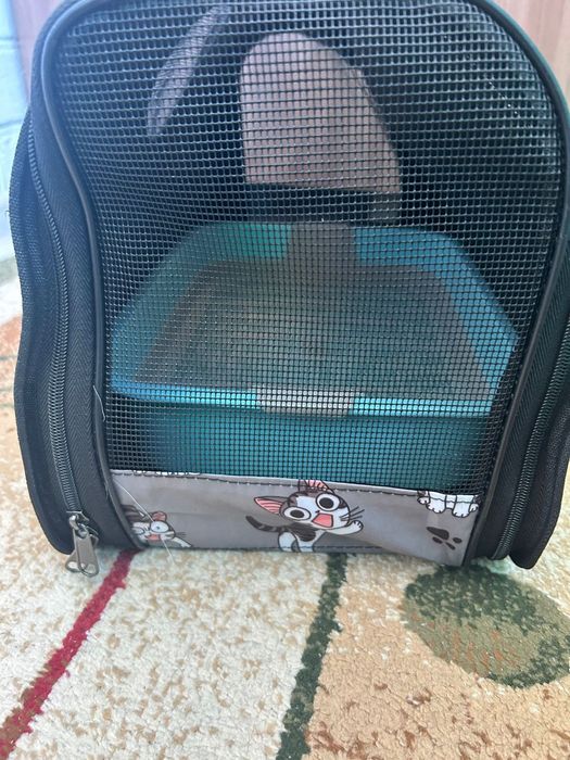 Сумка для кошек.