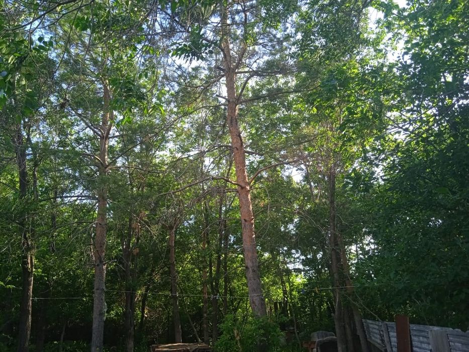 Дом с газовым отоплением