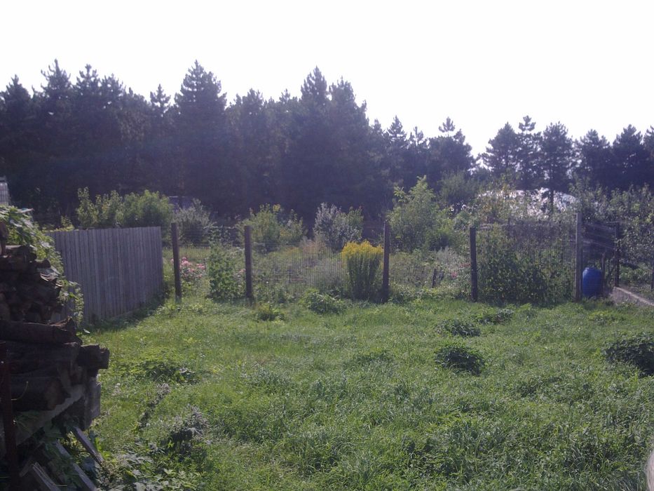 Ocazie ! Vila in Bucium _ Paun, cu 1600 mp teren, la pret minim