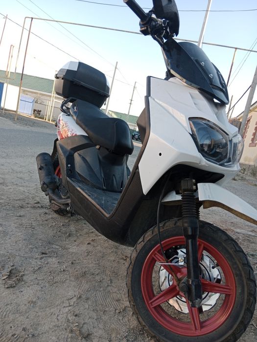 Мопед самурай 1 жылы 2023