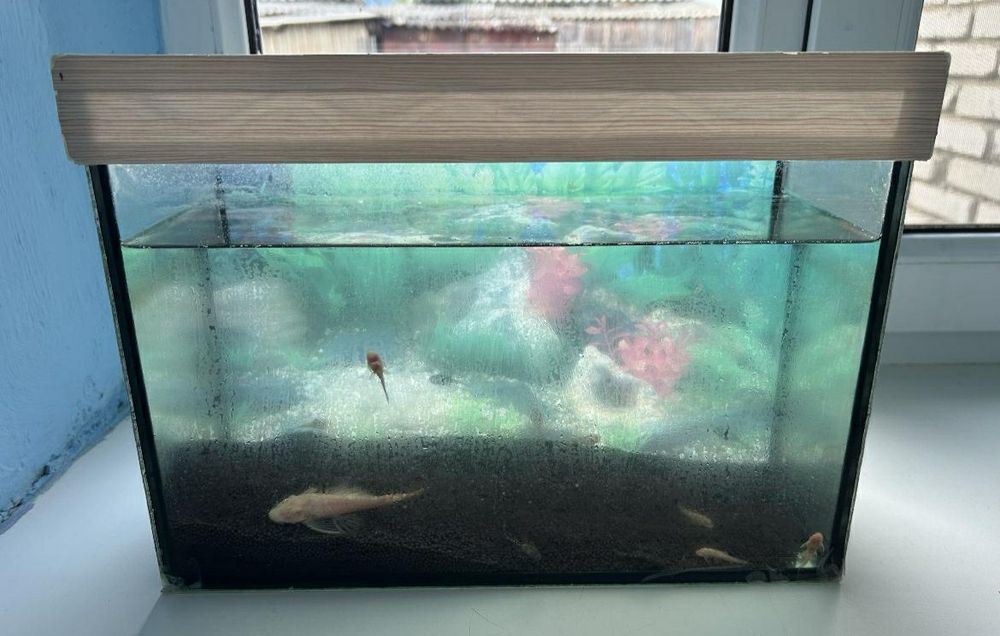 Продам аквариум небольшой