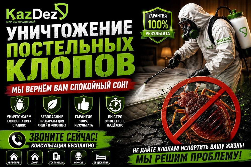 Клопы? Решим Проблему Профессионально