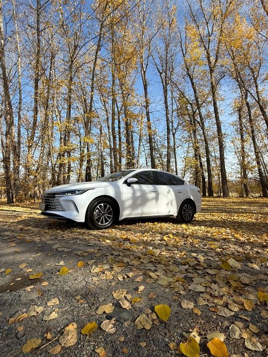 Срочно продаю летние шины на BYD