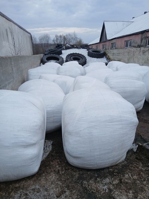 Baloti semifan lucerna