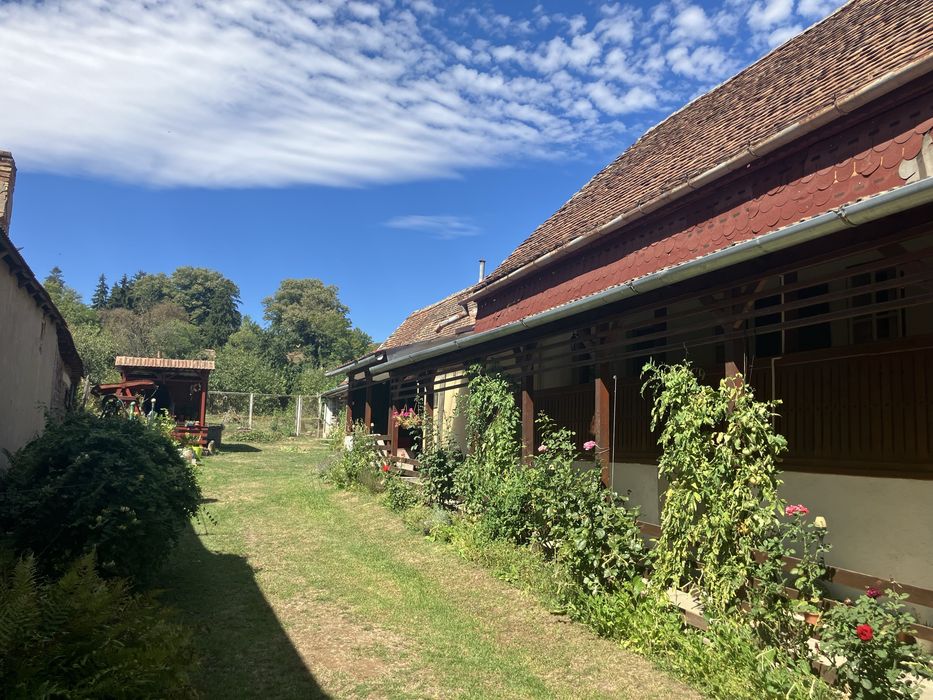 Casa de vanzare in Jidvei, Alba