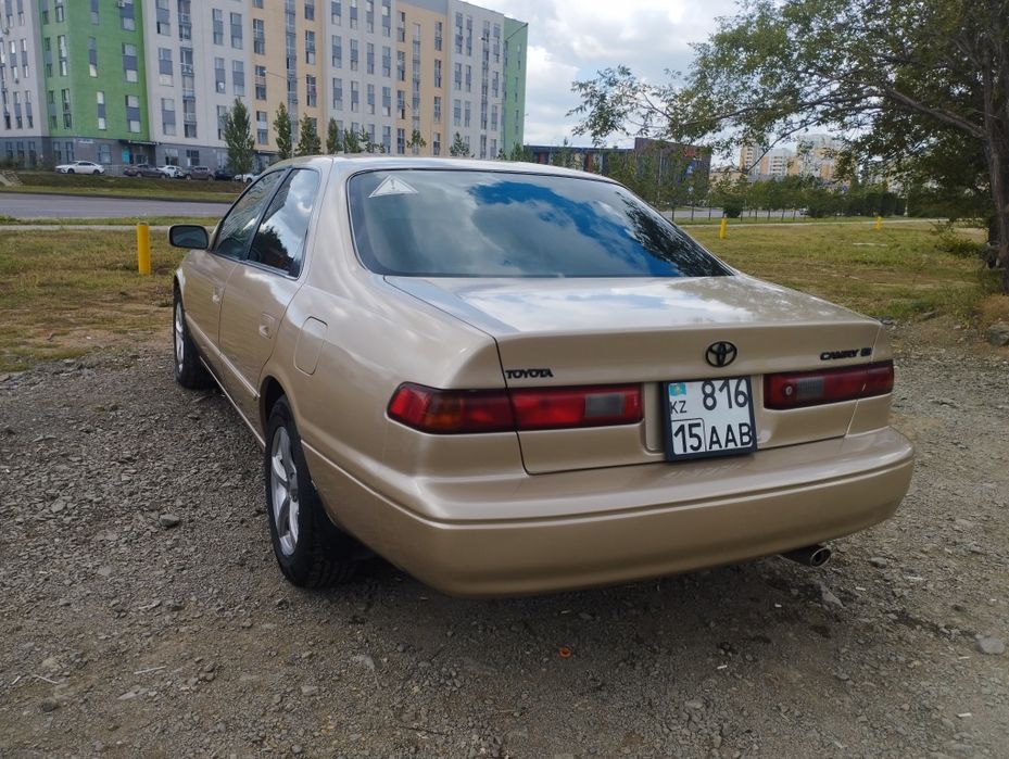 Продам живого Легенду