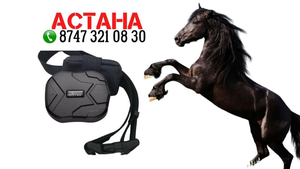 ЖПС трекер жылқыға GPS