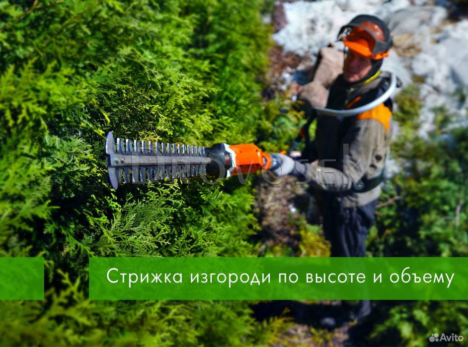 Стрижка туй, кустарников, живой изгороди Стрижка газона покос травы
