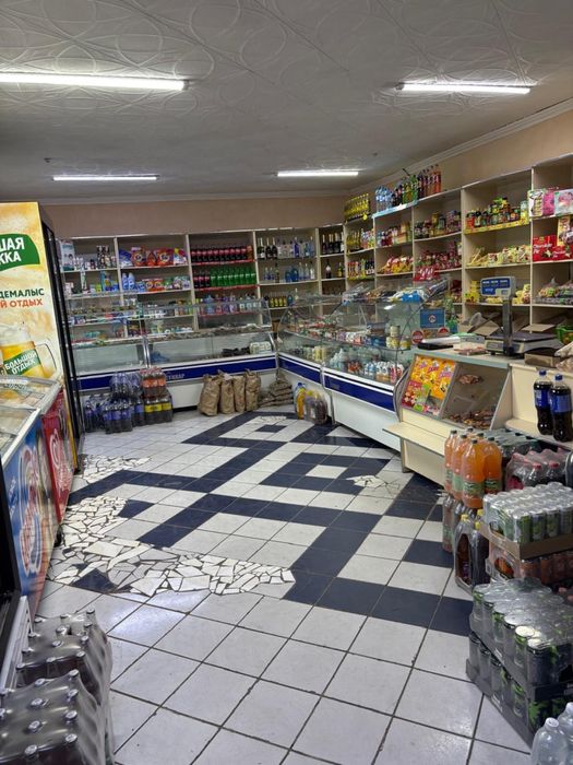 Продается здание с действующим магазином