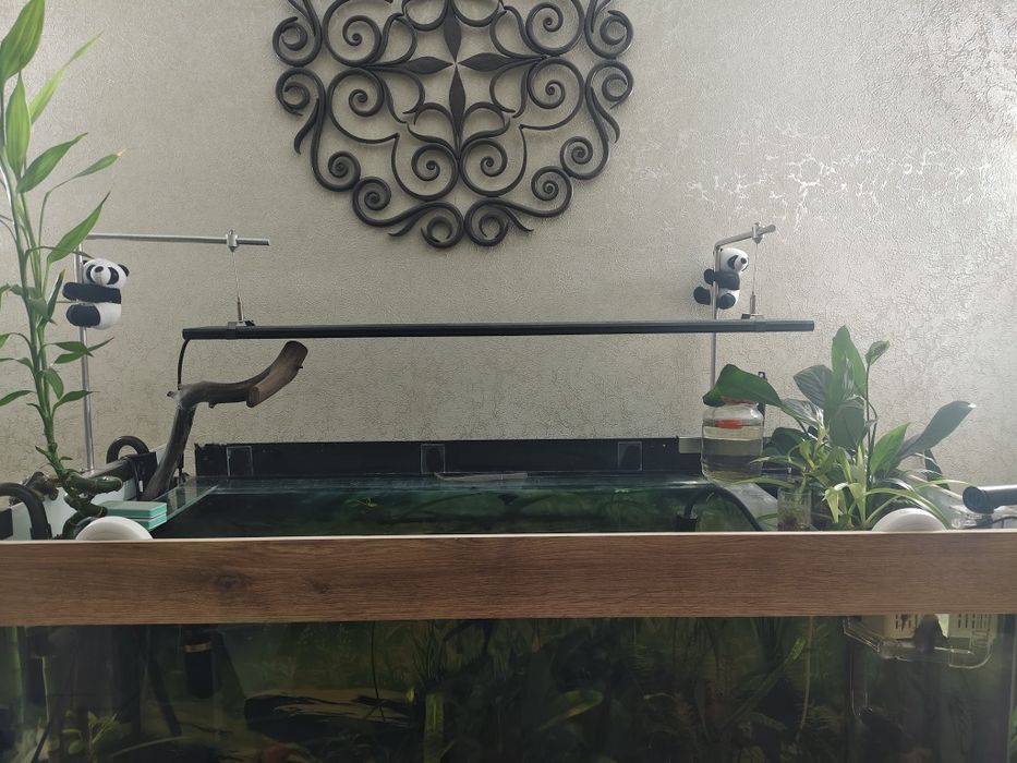 Продаётся аквариум 237 литров