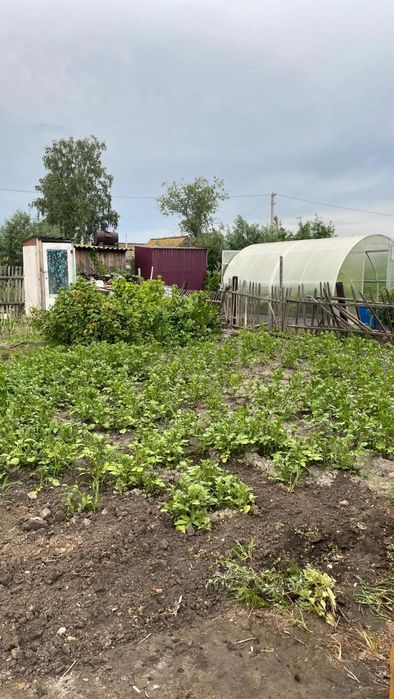 Общая площадь 4 сотки