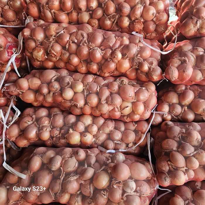 Лук сухой люкс качества