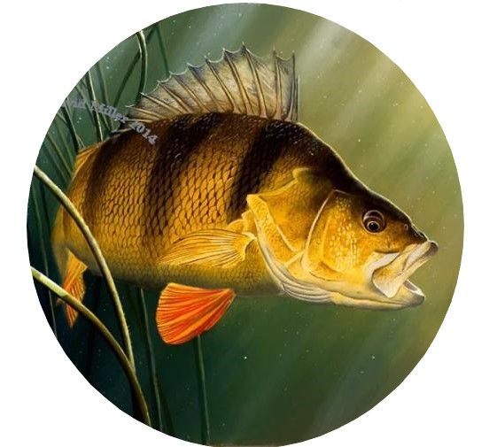 Калъф За Резервна Гума На Джип С Риба Риби