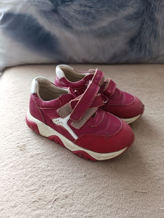 Продам все за 5000