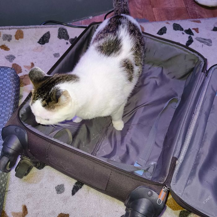 Чемодан небольшой