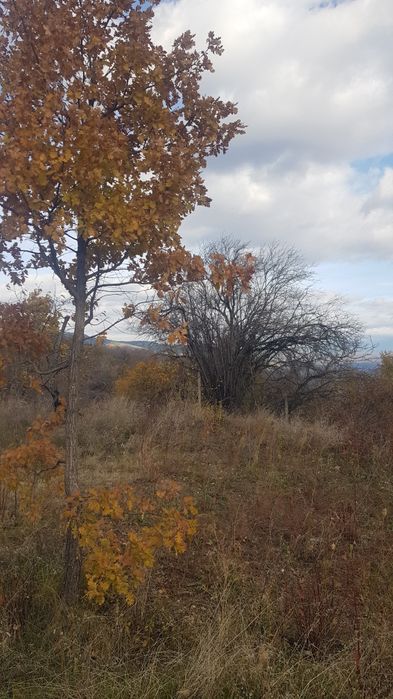 Продава се Парцел в Бобошево - 440 кв.м за 12 €/кв.м - Снимка #2