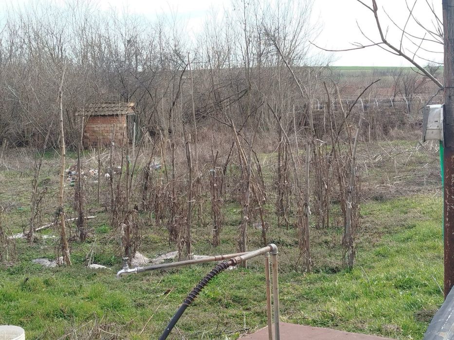 Продава се Къща в с. Морава, Област Велико Търново - 2600 кв.м за 6 €/кв.м - Снимка #14