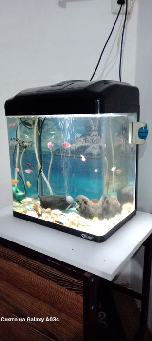 Заводской акварюм 50 тысяч
