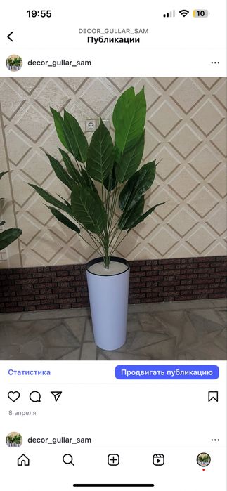 decor gullar sotiladi