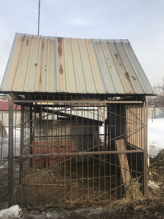 Здравствуйте, продам вольер .