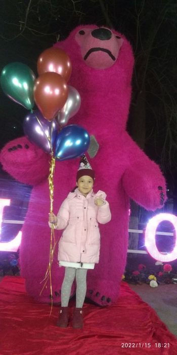 Мидведи ваздушние шарки