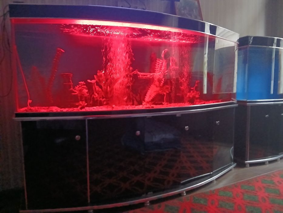 Аквариум сотилади