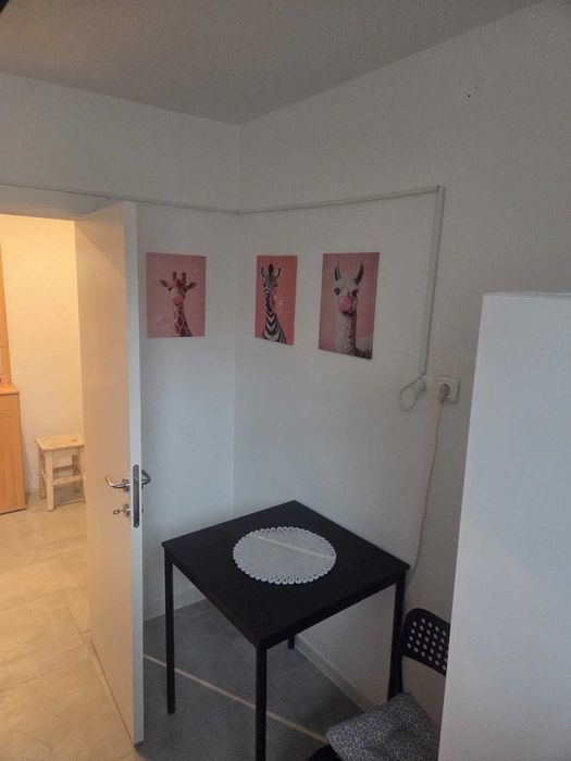 Apartament 3 camere -Parter-Rovine