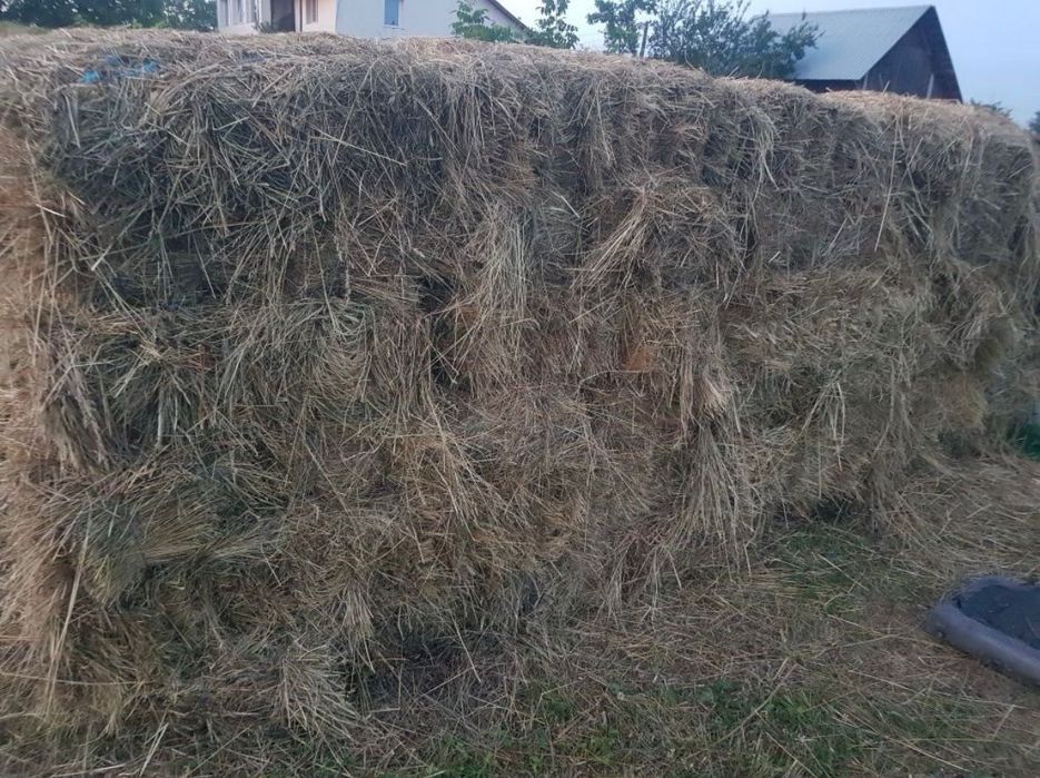 Vând baloți amestec ( lucernă și fân )