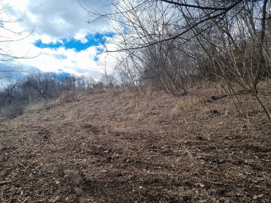 Teren extravilan si intravilan de vanzare in Valcea, Opatesti