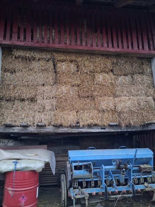 Baloti paie  dreptunghiulari