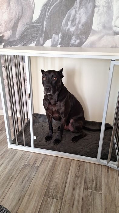 Вольеры для собак