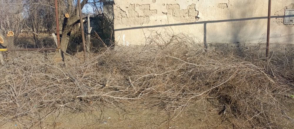 Ағаш пұтақтар тегін