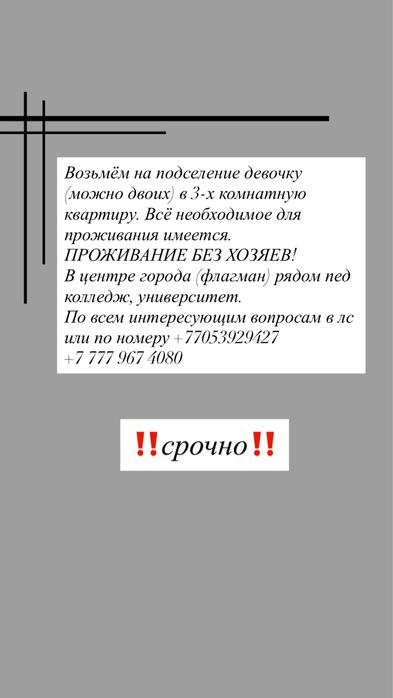 Возьмём девочку на подселение, без хозяев