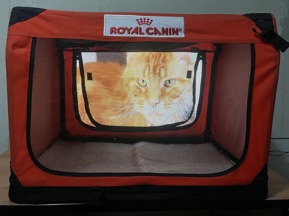 Выставочная палатка для кошек и собак Royal Canin