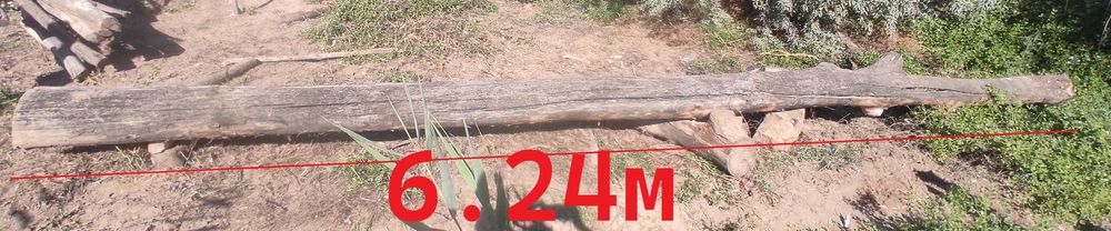 Продается длины бревно 6+ метра.