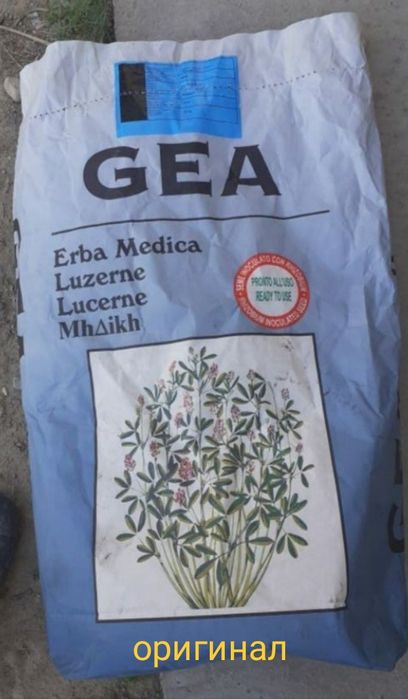 Жоңышқа ұрық семена люцерна