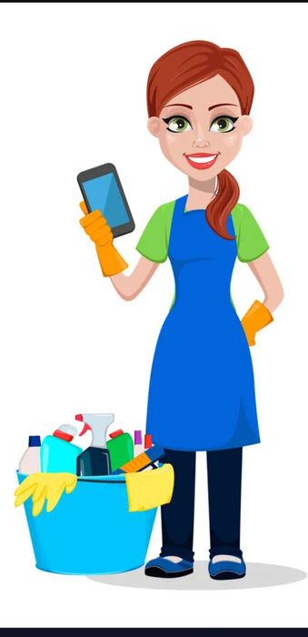 Жена на час. Клинер. Экспресс уборка