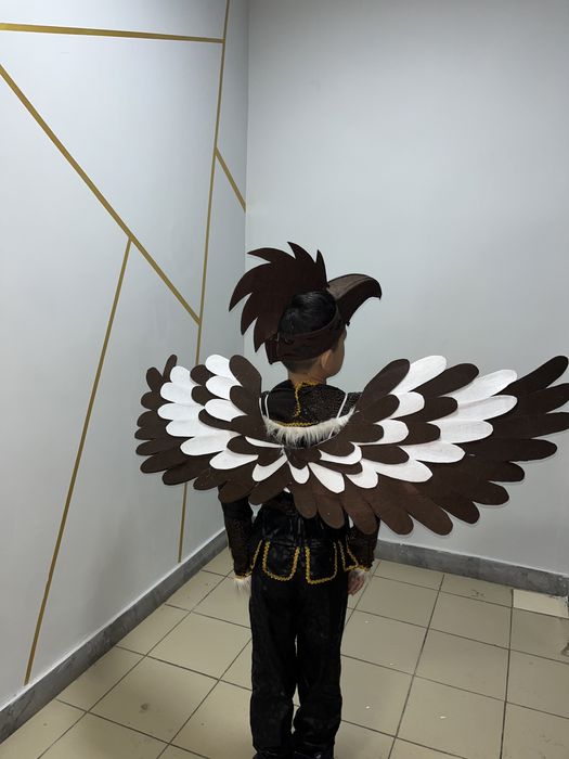 Костюм беркута и солнца