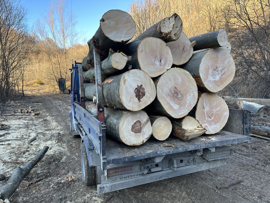 Matrial lemnos Pentru  centrale