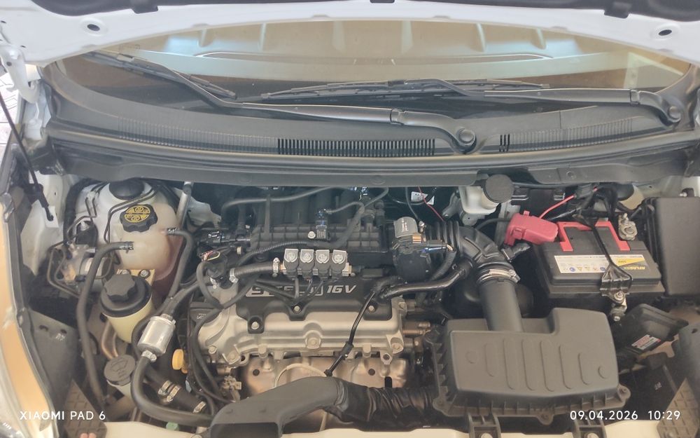 2019 yil radnoy spark