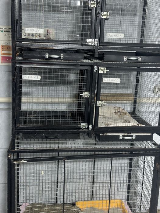 Клетки для животных