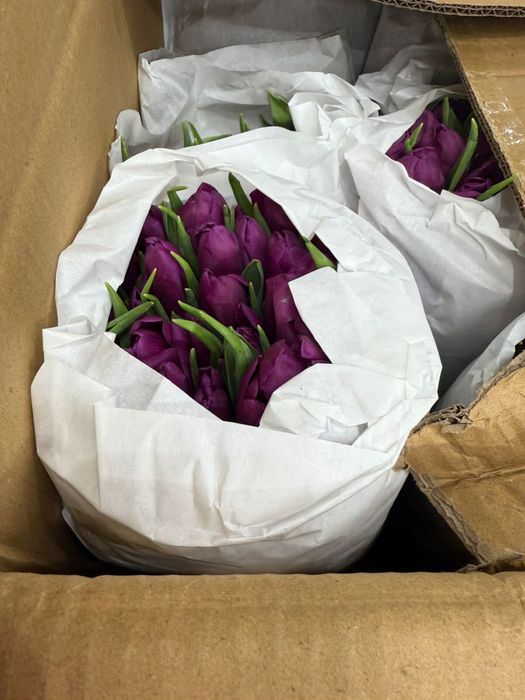 Цветы для компании и офисов для 8 марта