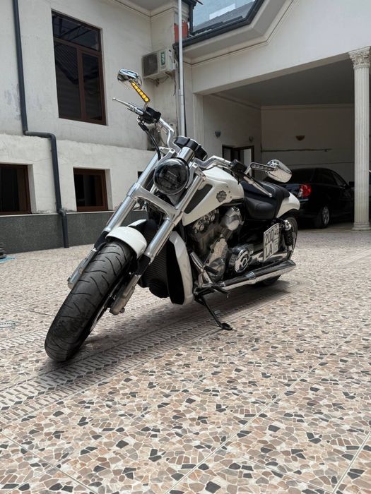 Xarley davidson vrod 2011
