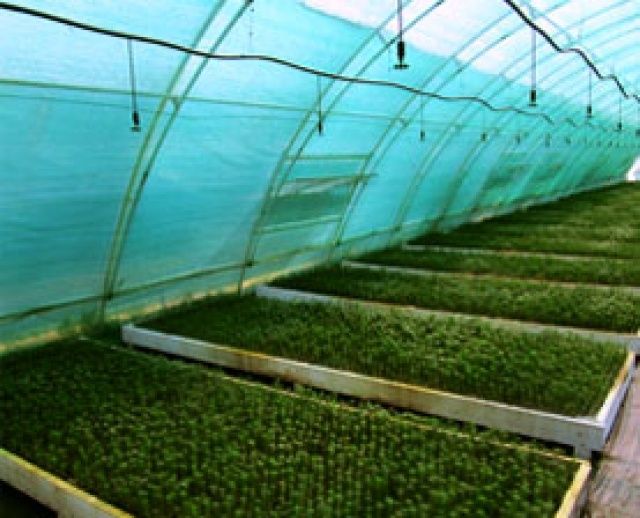 Российский укрывной материал