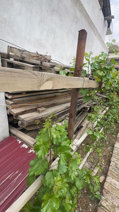 Отин сотилади сталбалар ва тахталар бир мошина