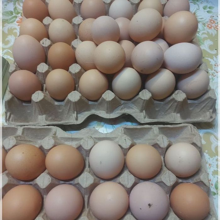 Яйцо домашние вкусные