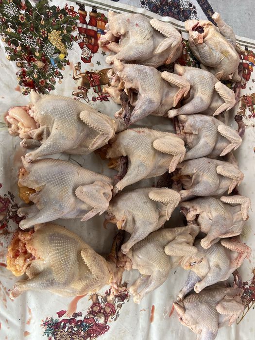 Куры домашние резаные